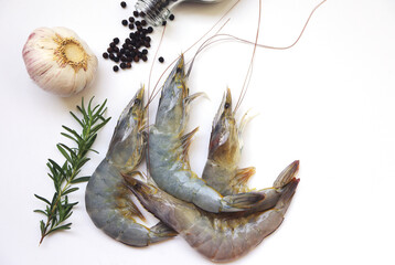 raw shrimps prawns with ingredients herb rosemary on white plate background