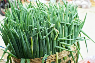  closeup fresh leek in the basket