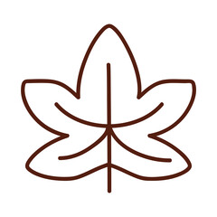 autumn maple leaf line style symbol vector design