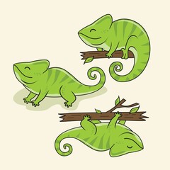Chameleon Cartoon Illustration Set Collections