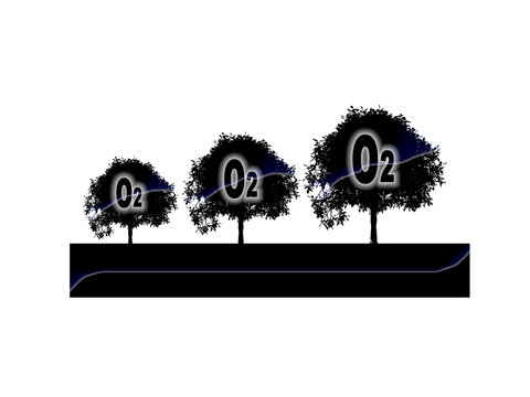 Oxygen logo isolated on white background. 