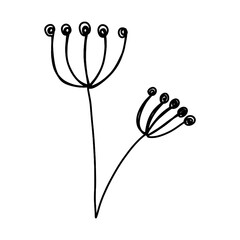 One line hand drawn flower in doodle style vector illustration isolated on white background. Minimalist art for print, poster, wall art.