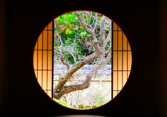 Fototapeta na wymiar 京都、泉涌寺雲龍院の風景