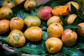 Selling fresh mangoes in the Indian market in Mauritius