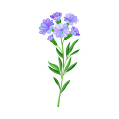 Naklejka na ściany i meble Blue Flowers on Stem or Stalk as Meadow or Field Plant Vector Illustration