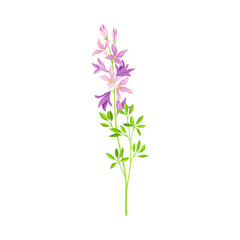 Fototapeta na wymiar Flower Stem or Stalk with Violet Florets as Meadow or Field Plant Vector Illustration