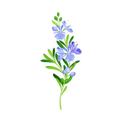 Fototapeta na wymiar Blue Flowers on Stem or Stalk as Meadow or Field Plant Vector Illustration
