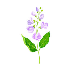 Fototapeta na wymiar Flower Stem or Stalk with Violet Buds as Meadow or Field Plant Vector Illustration