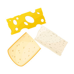 Slices of Cheese for Sandwich as Breakfast Ingredients Vector Illustration
