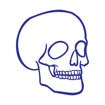 Simple Skull vector design for print tattoo and digital needs