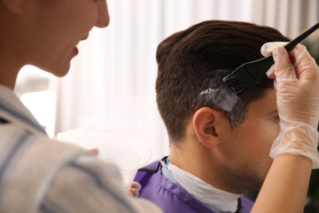 Professional hairdresser dying hair in beauty salon, closeup