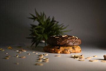 beautiful background of almond chocolate cookie