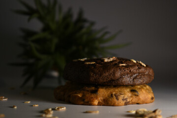 beautiful background of almond chocolate cookie