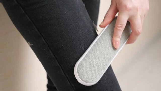Young woman hand cleans stained black pants with electrostatic clothing hair removal brush standing near beige wall in light room close view