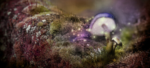 Fantasy world. Mushrooms with magic lights in enchanted forest, banner design