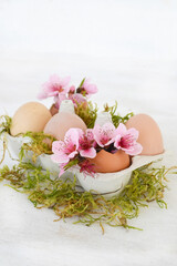Fototapeta na wymiar Spring flowers in egg shells on white background. Easter decoration. Copy space.