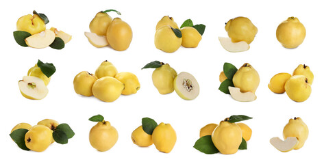 Set of delicious ripe quinces on white background. Banner design