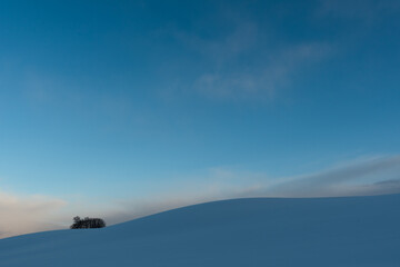 幻想的な美瑛の丘の雪景色