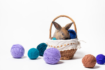A cute fluffy brown rabbit sits in a basket with tangles of knitting yarn. Beautiful photo for calendar, Easter or postcard.