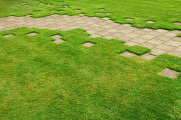 Englisg garden path and lawn