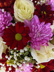 background of multi-colored flowers close-up. shallow depth of focus. selective focus.