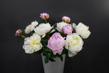 Fresh peonies Opened buds Cut flowers