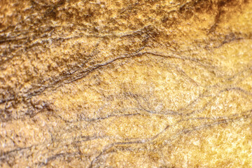 Natural texture of avocado inside. Eco background. Close up.