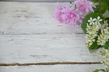 spring white and lilac or purple flowers on wooden white background for spring holidays. mother's day, easter