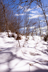 landscape with snow. the relief hilly snow surface is shot in close-up from below.