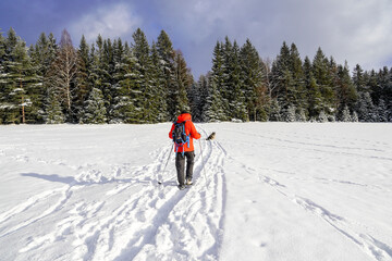 Fototapeta na wymiar Winterwandern Mann mit roter Jacke im Schnee Hund