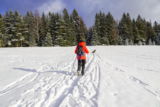 Winterwandern Mann mit roter Jacke im Schnee Hund