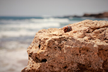 Caracol