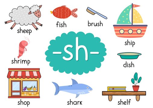 Sh Digraph With Words Educational Poster For Kids. Learning Phonics For School And Preschool. Phonetic Worksheet. Vector Illustration
