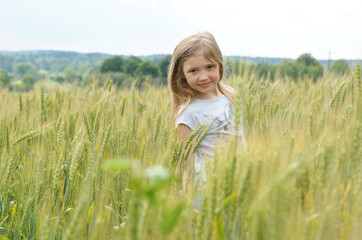 Naklejka na ściany i meble a girl in a field of rye cornflowers in the summer