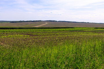 Fototapeta na wymiar plowed field zhytomyr region ukraine