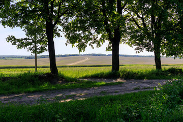view of the fields in Ukraine