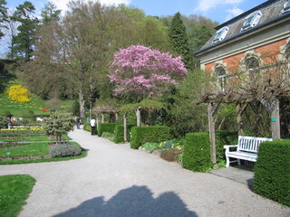 Bühender Stadtgarten im Frühjahr in Überlingen am Bodensee in Baden-Württemberg