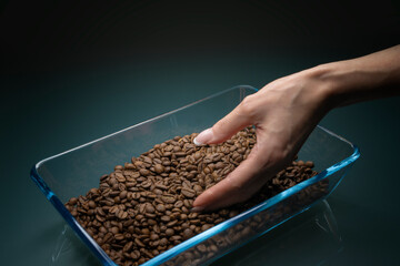 coffee beans in beautiful female hands