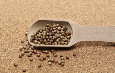 Coriander seeds pile in wooden spoon on cork mat, plug surface background and texture