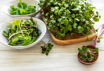 Assortment of micro greens on white wooden  background, copy space, top view.  Healthy lifestyle