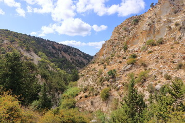 Fototapeta na wymiar view on Avakas Gorge with steep rocks and river on bottom. Akamas peninsula, Cyprus.