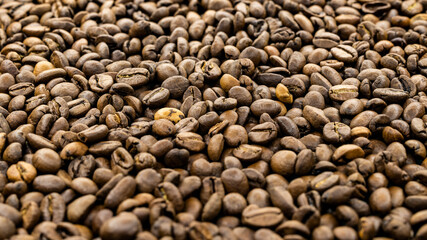 coffee turk among roasted coffee beans