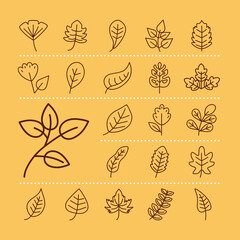 leaves line style set of symbols vector design