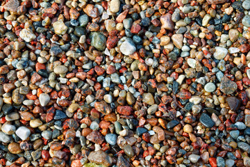 Lots of small colorful pebbles from the seashore