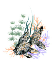 Watercolor spring and summer goldfish and aquatic plants asian element arrangement isolated on white for poster travel wallpaper invtation card