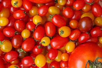 Variety of colorful organic tomato background