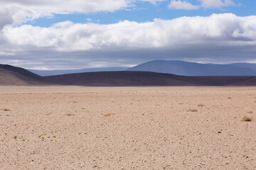 Tankwa Desert 