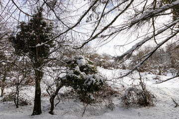 Fototapeta na wymiar snowy landscape in the basque coountry