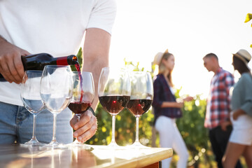 Man pouring wine from bottle into glasses at vineyard, closeup