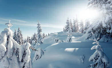 Obraz premium Wonderful Winter Landscape. Awesome Alpine Highlands in Sunny Day. Christmas holyday concept. Winter mountain forest. Snowy mountains and perfect blue sky. Amazing Nature background. postcard